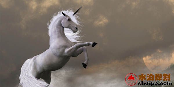 機器人或自動化企業將有可能成為行業的獨角獸 機器人或自動化企業將有可能成為行業的獨角獸